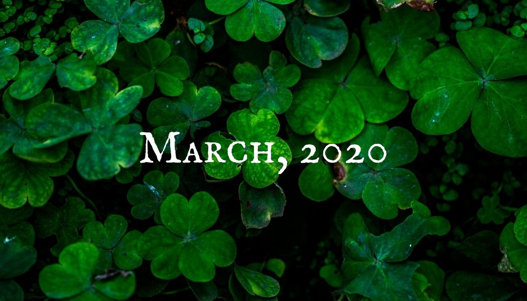 March 2020! - The Perfect Bungee & ShockStrap Tie Downs